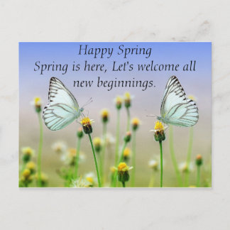 Butterflies Flowers Vykort