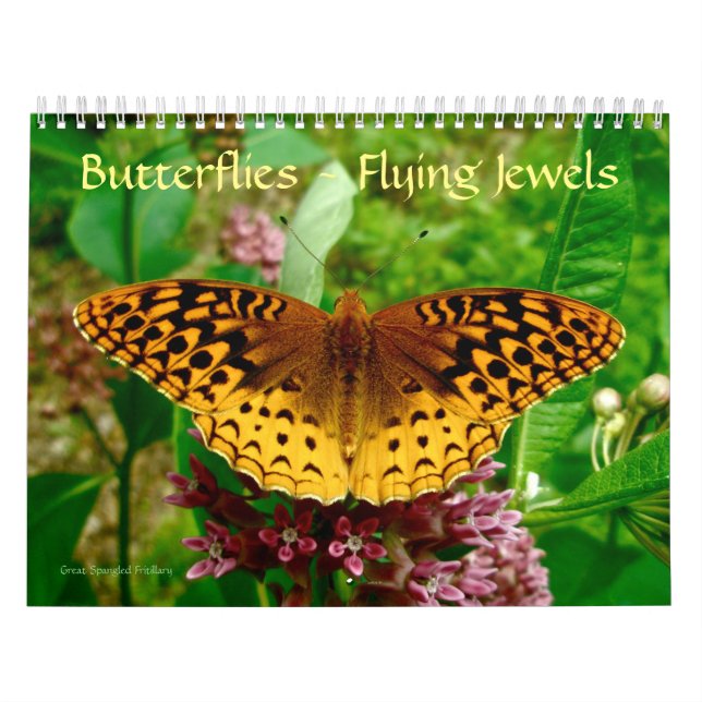 Butterflies - Flygande judkalender Kalender (Omslag)