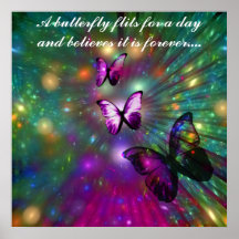 Butterflies Forever