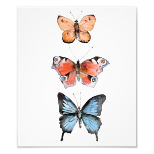 Butterflies Fototryck