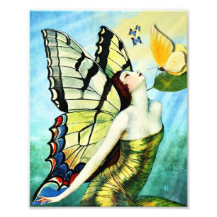 Butterflies Fototryck