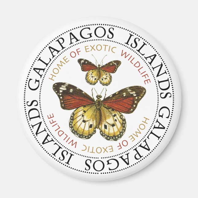 Butterflies Galapagos Islands Magnet (Framsidan)