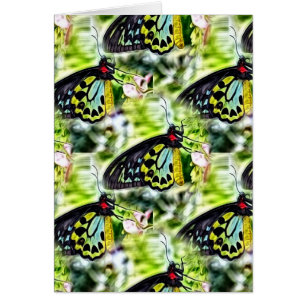 Butterflies Hälsningskort