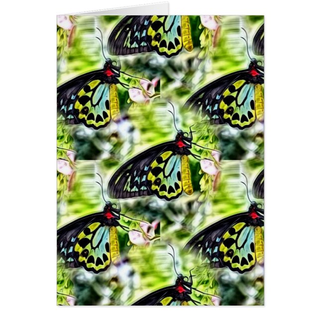 Butterflies Hälsningskort (Framsidan)