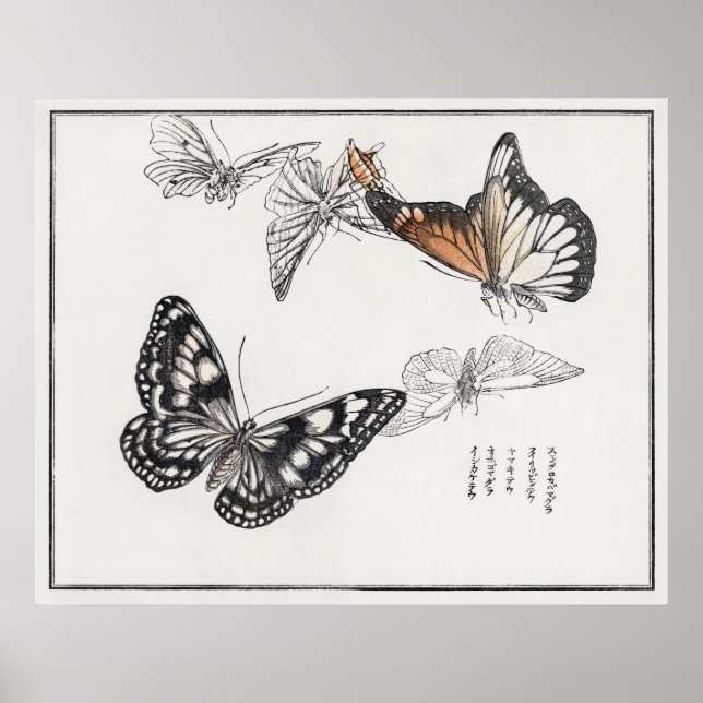 Butterflies Illustration från Churui Gafu (1910) Poster (Framsidan)