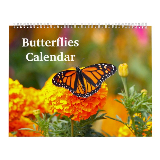 Butterflies Kalender (Omslag)