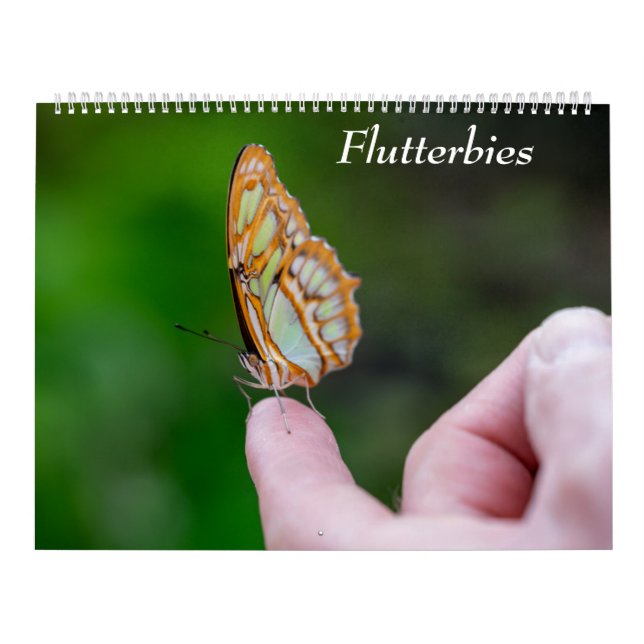 Butterflies Kalender (Omslag)