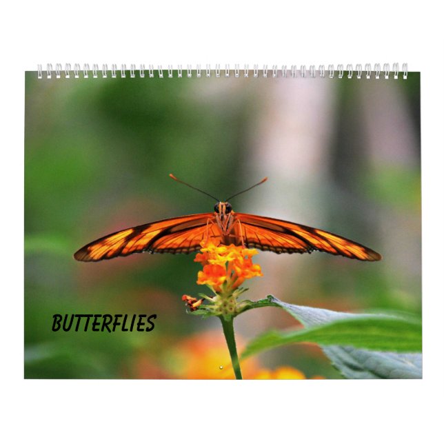 Butterflies Kalender (Omslag)