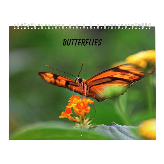 Butterflies Kalender (Omslag)