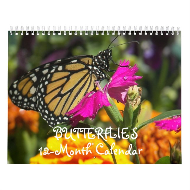 Butterflies Kalender (Omslag)