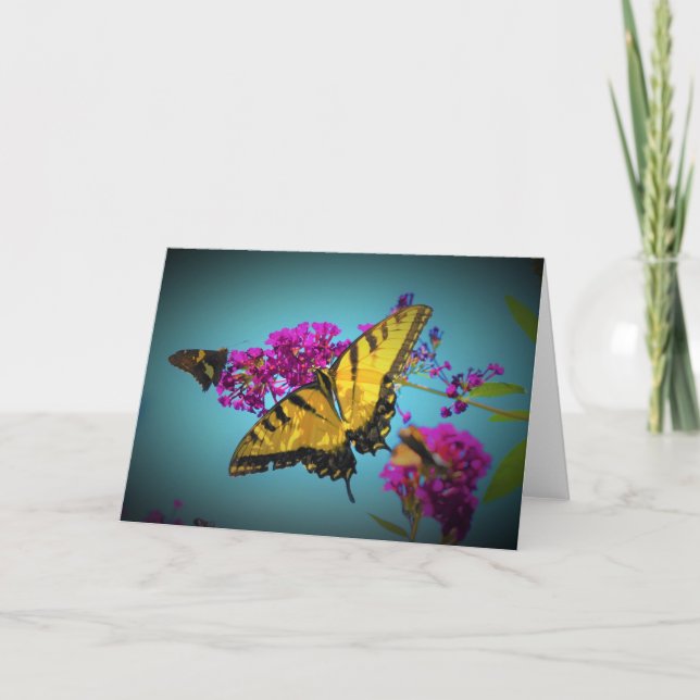 Butterflies, kort (Framsida)