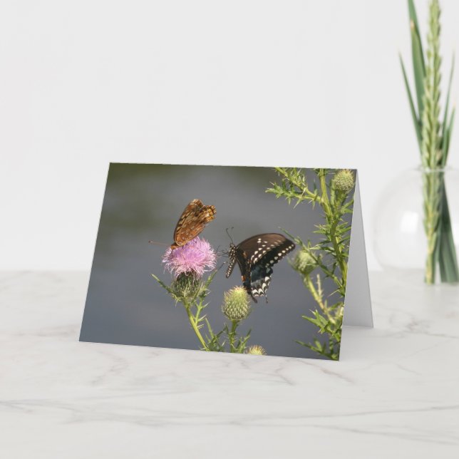 Butterflies Kort (Framsida)