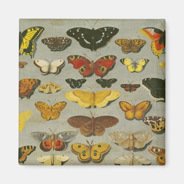 Butterflies Magnet (Framsidan)
