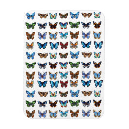 Butterflies Magnet