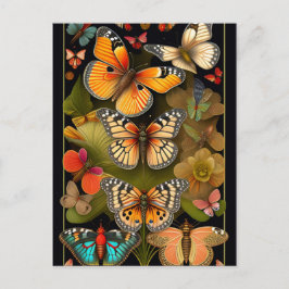 Butterflies | Modern Haeckel Vykort