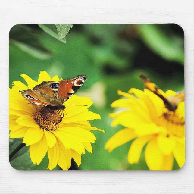 Butterflies - Mousepad Musmatta (Framsidan)
