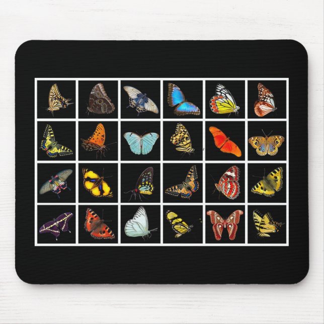 Butterflies Musmatta (Framsidan)