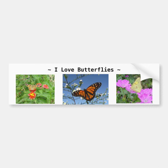 Butterflies och blommor Bumper Sticker Bildekal (Framsidan)
