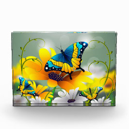 Butterflies och Flowers 