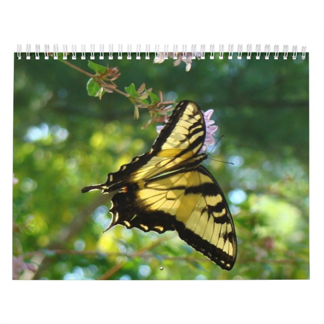 Butterflies och Flowers Kalender (Omslag)