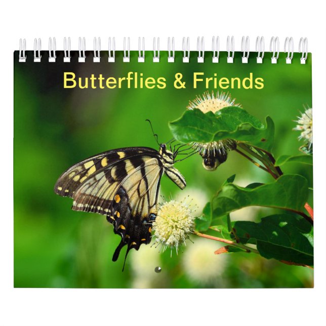 Butterflies och Friends Kalender (Omslag)