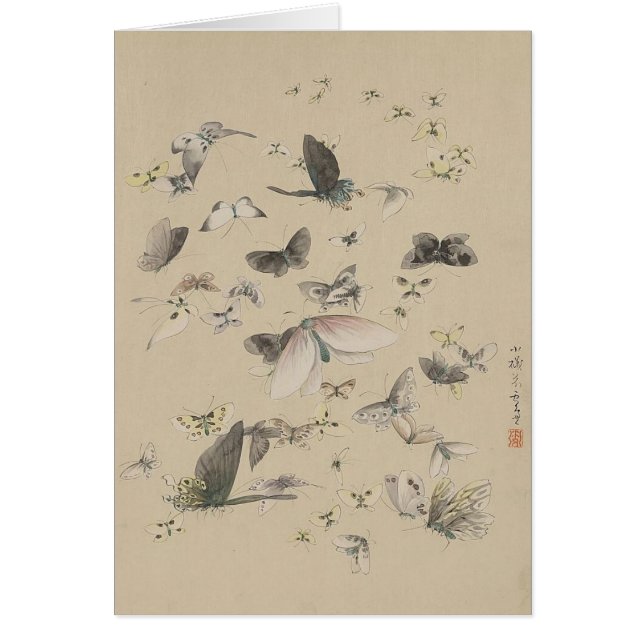 Butterflies och majs hälsningskort (Framsidan)
