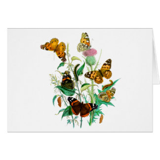 Butterflies och Thistle Hälsningskort