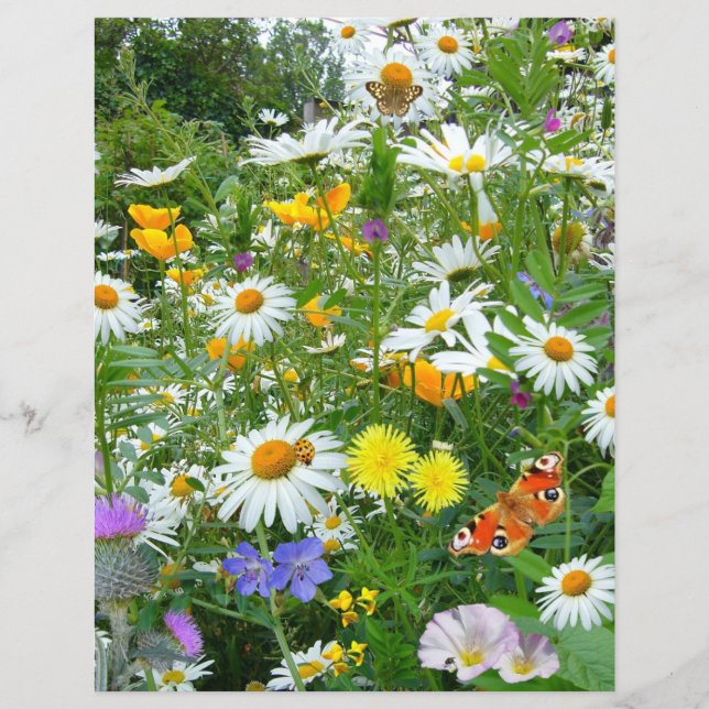 Butterflies och Wildblommor (Framsida)