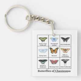 Butterflies of Chautauqua