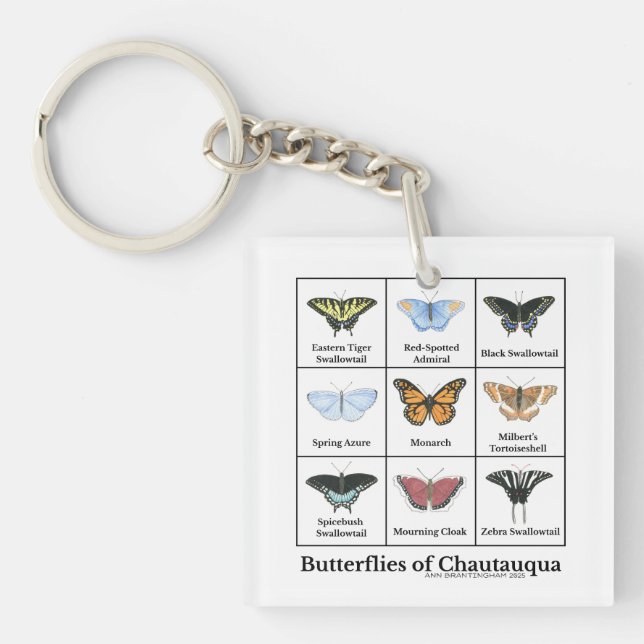 Butterflies of Chautauqua (Framsidan)