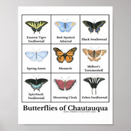 Butterflies of Chautauqua Poster