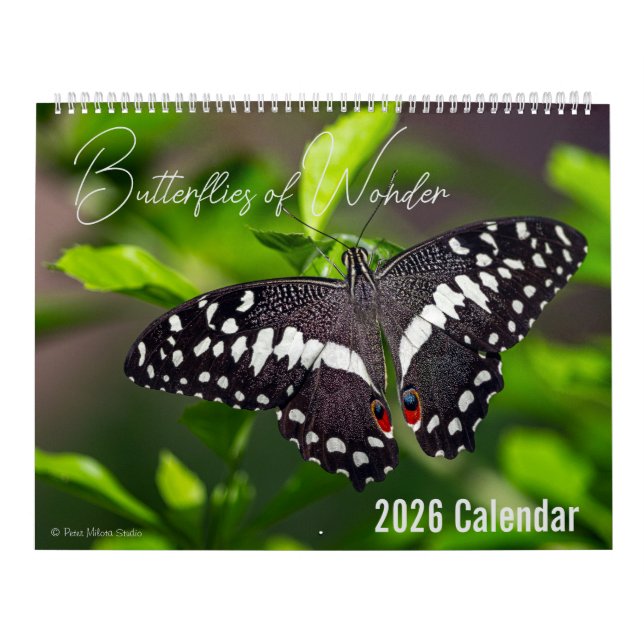 Butterflies of Wonder 2026 Nature Calendar Kalender (Omslag)