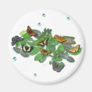 Butterflies on Löv Magnet