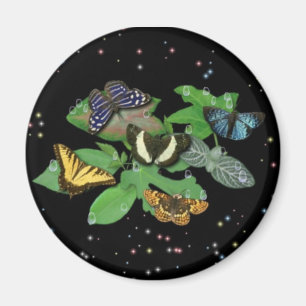 Butterflies on Löv Magnet