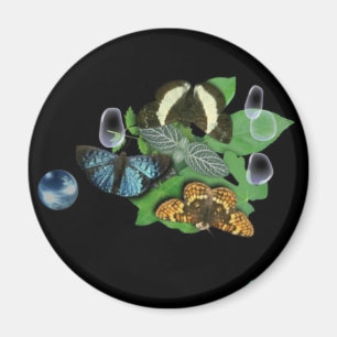 Butterflies on Löv Magnet