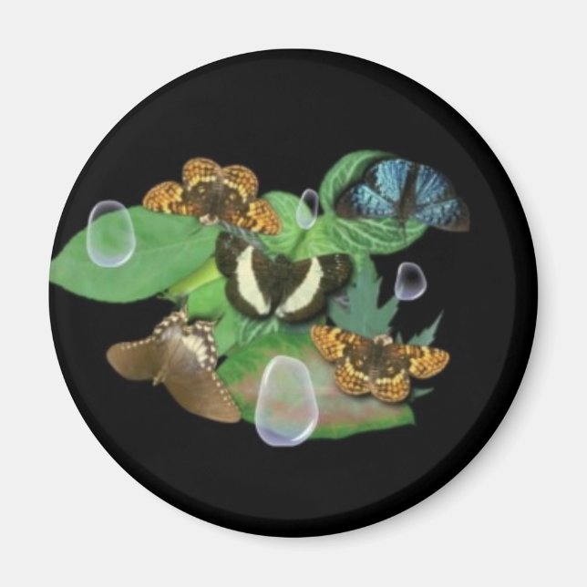 Butterflies on Löv Magnet (Framsidan)