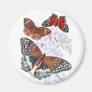 Butterflies - Orange och Brown Magnet