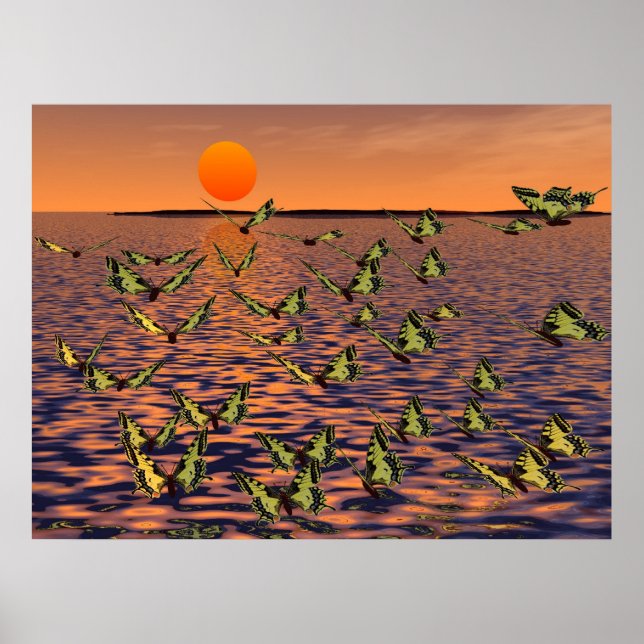 Butterflies Poster (Framsidan)