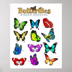 Butterflies Poster