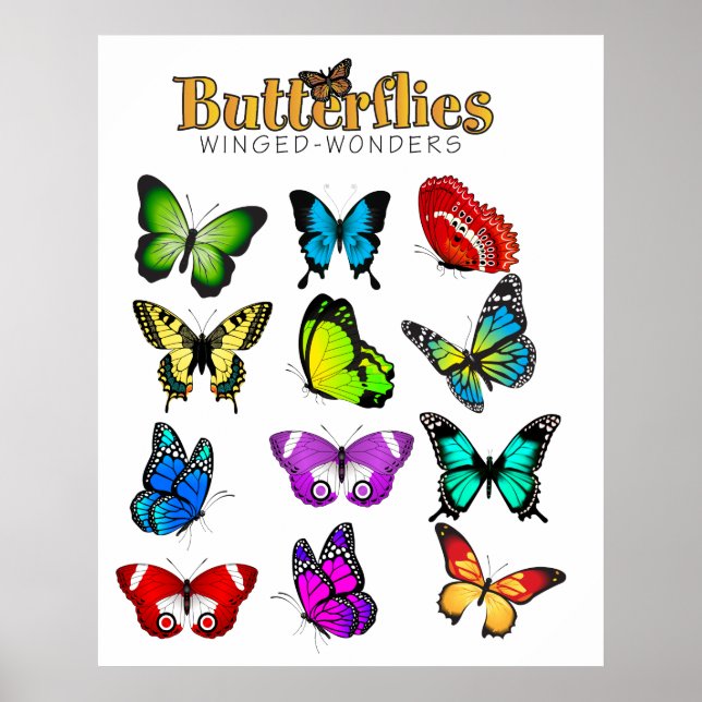 Butterflies Poster (Framsidan)