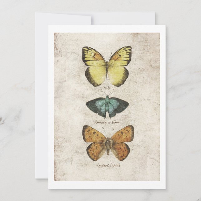 Butterflies-samling Inbjudningar (Framsida)