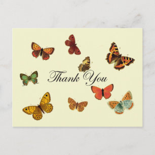Butterflies Tack Vykort