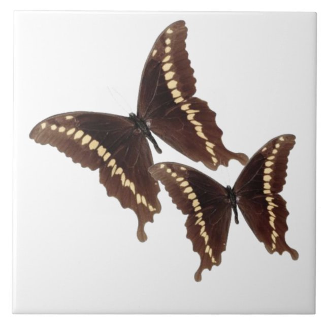 Butterflies Tile Kakelplatta (Framsidan)