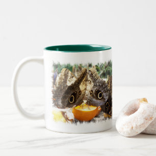 BUTTERFLIES Two-Tone COFFEE MUGG