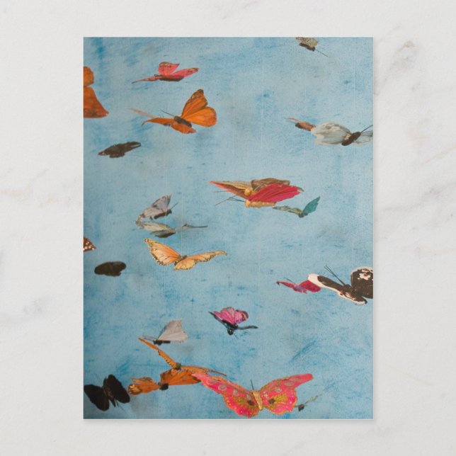 Butterflies Vykort (Framsida)