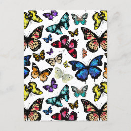 Butterflies Vykort