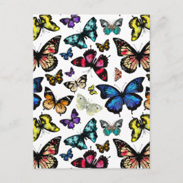 Butterflies Vykort