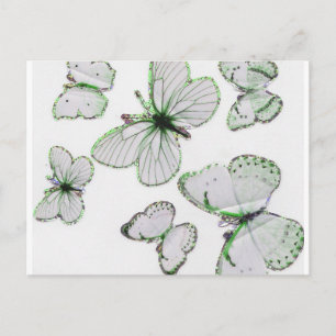 butterflies vykort