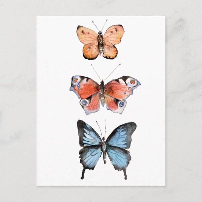 Butterflies Vykort (Framsida)