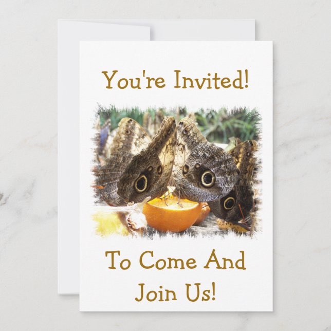 BUTTERFLIK INBJUDNINGAR (Framsida)